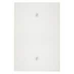 1-Gang White Blank Plate Plastic Jumbo/Oversized Wall Plate (1-Pack) 88114-000