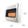 30,000 BTU Vent Free Radiant Natural Gas or Propane Dual Fuel Space Heater