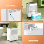 50 pt. 4,500 sq. ft. Quiet Dehumidifier in White with Drain Hose for Home, Basement, with Auto Defrost, 24H Timer